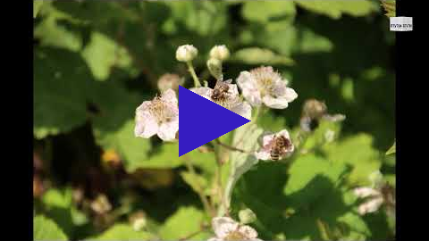 Link 5 februari 2023